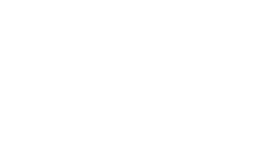 Study Wise Hub